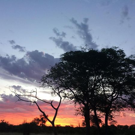 Adonsonia Lodge Grietjie Wildreservaat Buitenkant foto