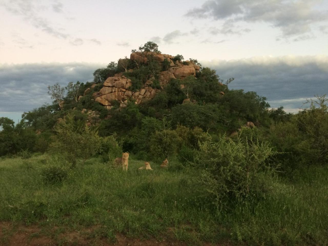 Adonsonia Lodge Grietjie Wildreservaat Buitenkant foto