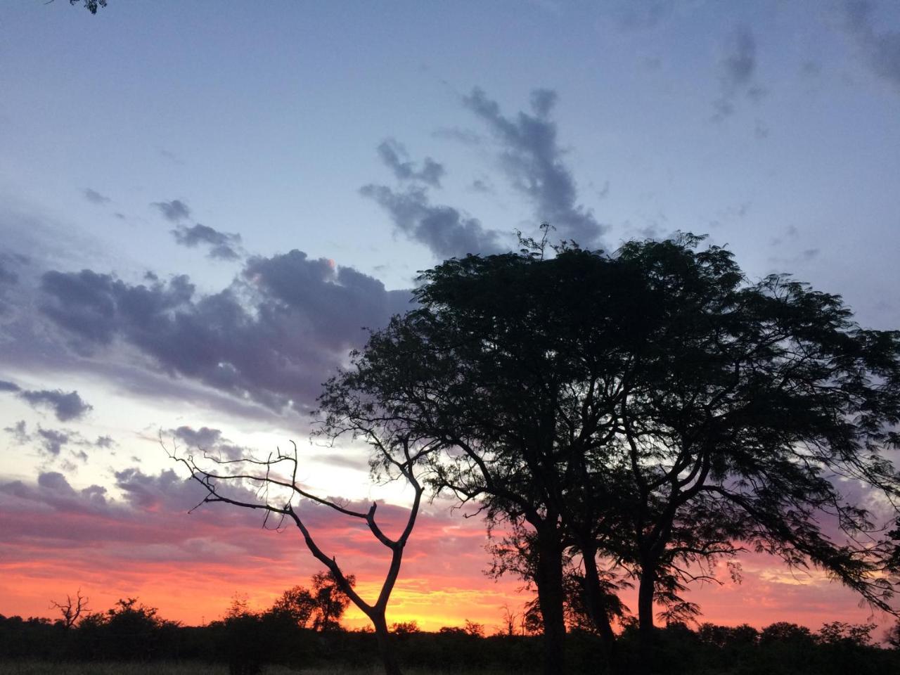 Adonsonia Lodge Grietjie Wildreservaat Buitenkant foto