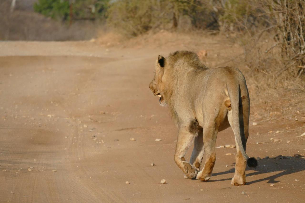Adonsonia Lodge Grietjie Wildreservaat Buitenkant foto